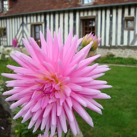 Ferme La Thillaye Le Mesnil-Mauger