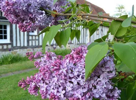 Ferme La Thillaye Le Mesnil-Mauger